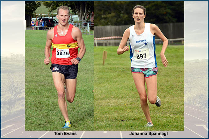 0000-XC-Relays.jpg